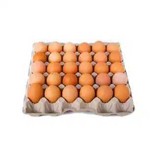 Chicken Eggs XL 30pcs