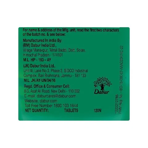 Dabur Hajmola Pudina Digestive Tablets 120pcs - photo 8