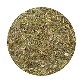 Jimbu (Allium)