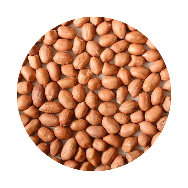 Kachoo Badam (Raw) 1kg