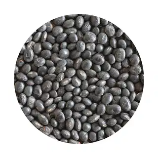 Kalo Bhatmas (Black Soya Bean)