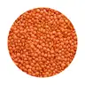 Musuro Dal (Small) 1kg