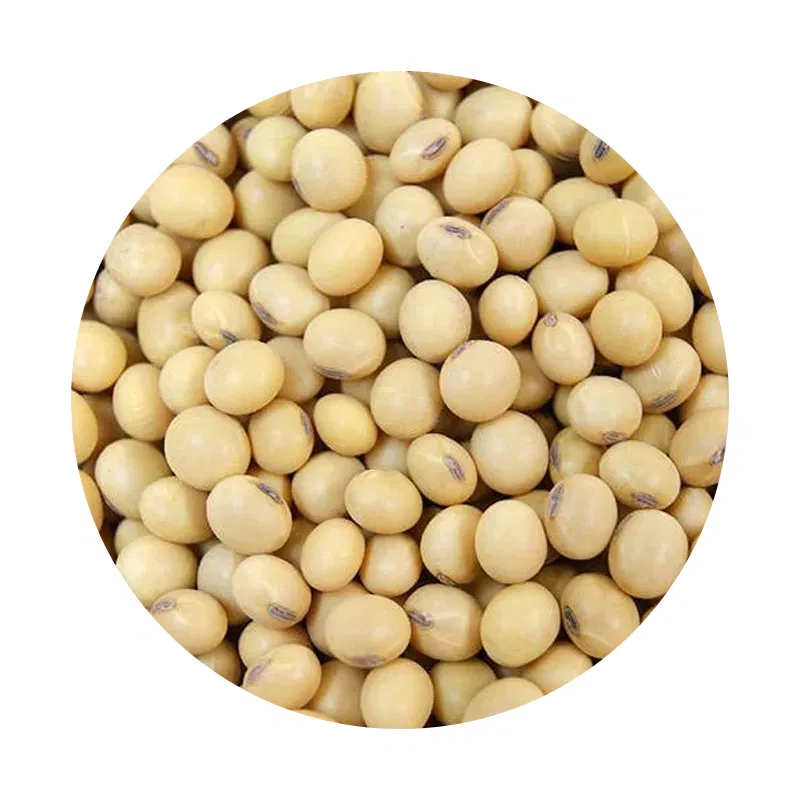 Seto Bhatmas (White Soya Bean) 1kg