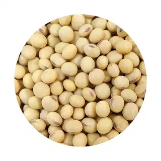 Seto Bhatmas (White Soya Bean)