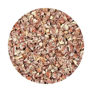 Supari (Betel Nut)