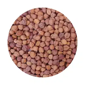 Khairo Chana (Brown Chickpeas) - Vhandar