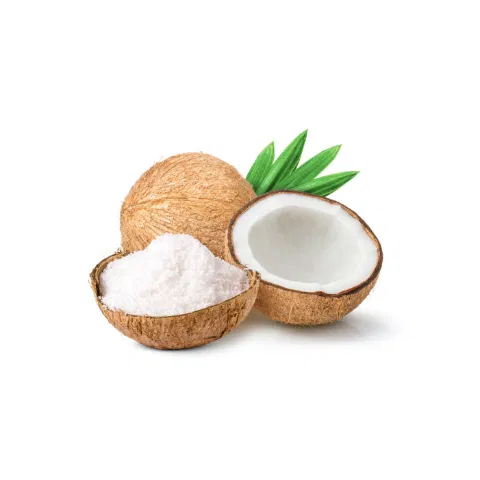 Dry Coconut Powder