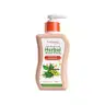 Patanjali Anti Bacterial Herbal Hand Wash 250ml