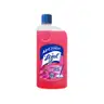 Lizol Disinfectant Surface & Floor Cleaner (Floral) 975ml