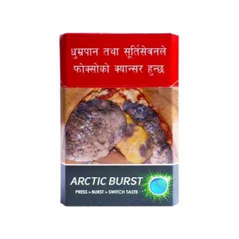 Surya 24 Carat Arctic Burst (20pcs)