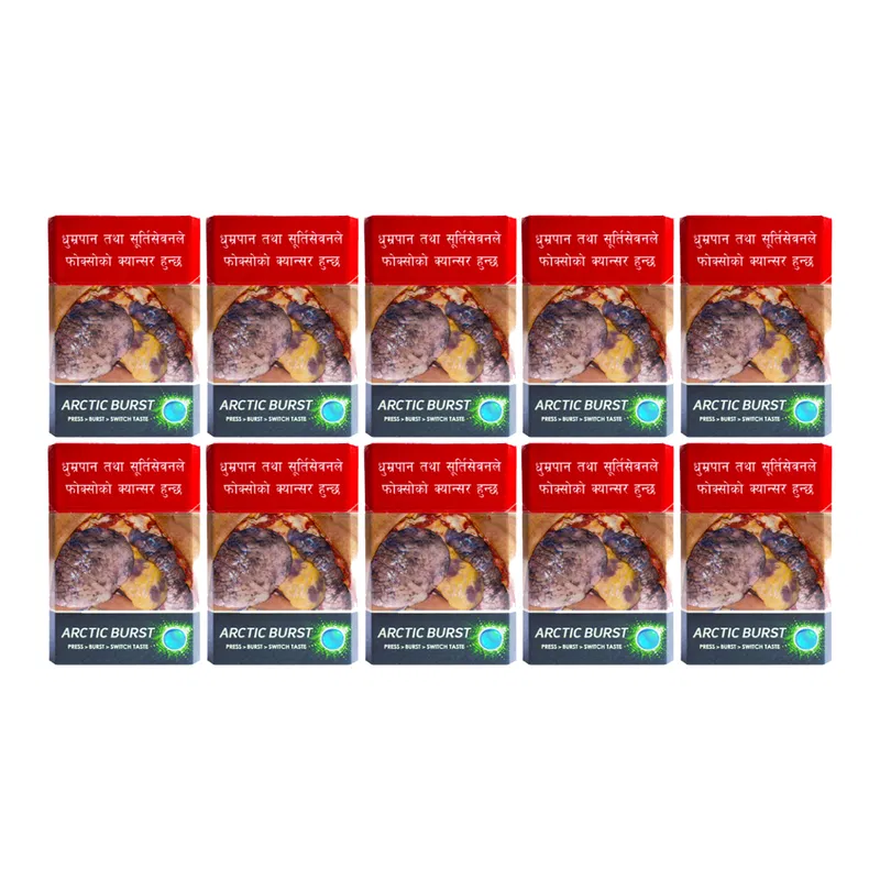 Surya 24 Carat Arctic Burst (20pcs)