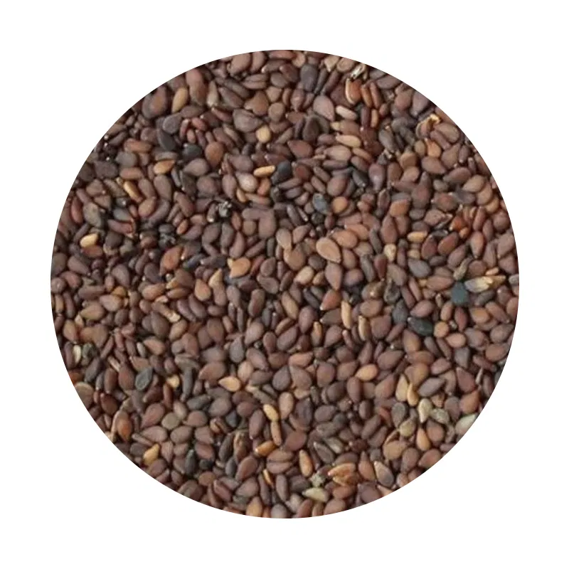 Khairo Til (Brown Sesame Seeds)