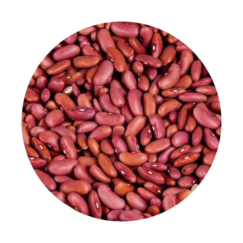 Rajma (Red Kidney Beans)