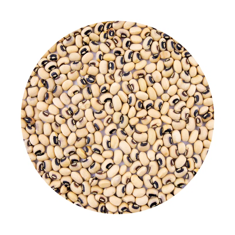 Seto Bodi (White Beans)