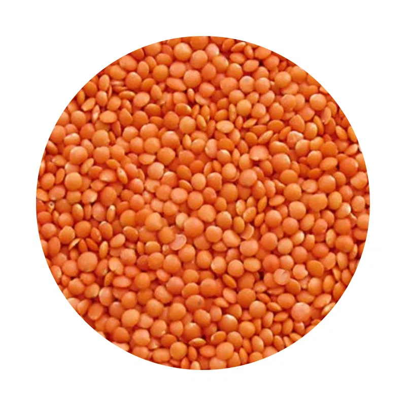 Musuro Dal (Small)