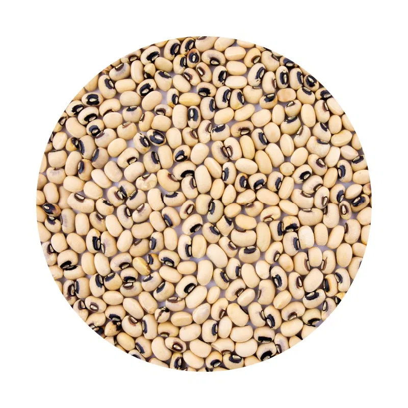 Seto Bodi (White Beans)