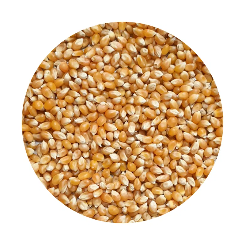 Murali Makai (Pop Corn)