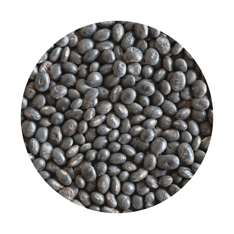Kalo Bhatmas (Black Soya Bean)