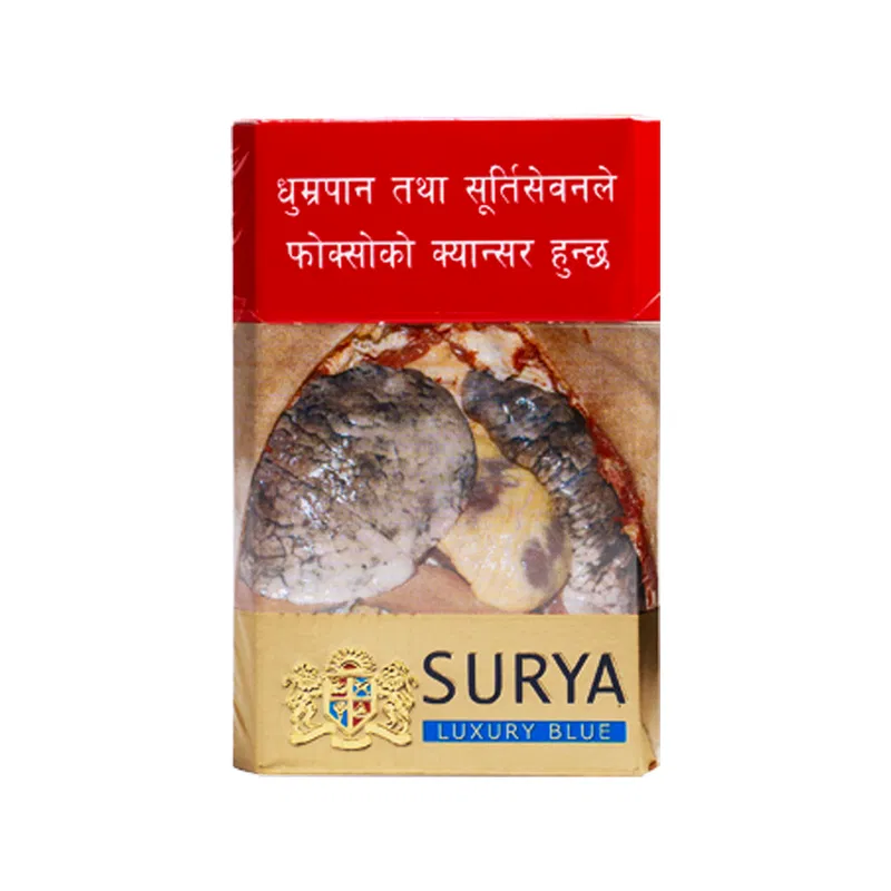 Surya Luxury Blue Lights (20pcs)