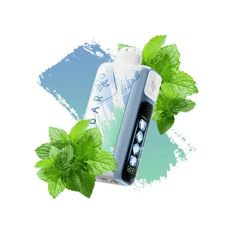 ElfBar Vape Miami Mint