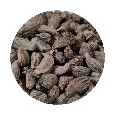 Alaichi (Black Cardamom)
