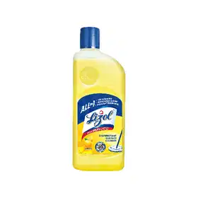 Lizol Disinfectant Surface & Floor Cleaner - Vhandar