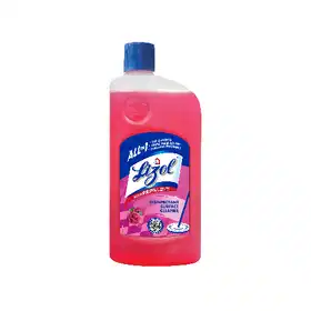 Lizol Disinfectant Surface & Floor Cleaner (Floral) - Vhandar