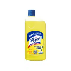 Lizol Disinfectant Surface & Floor Cleaner - Vhandar