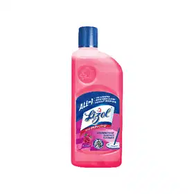 Lizol Disinfectant Surface & Floor Cleaner (Floral) - Vhandar