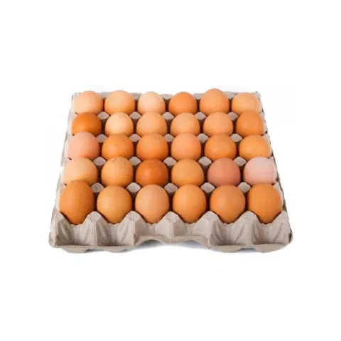 Chicken Eggs XL