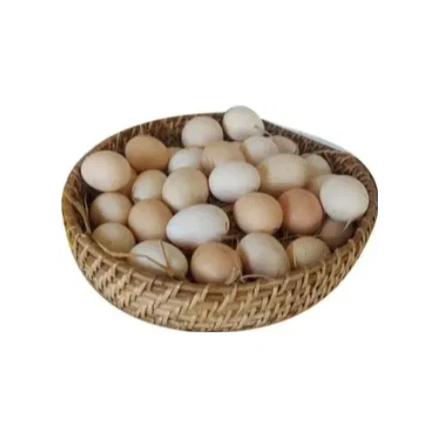 Organic Chicken Local Egg (Local Anda)