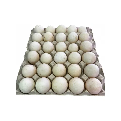 Duck Egg (Haas ko Aanda)